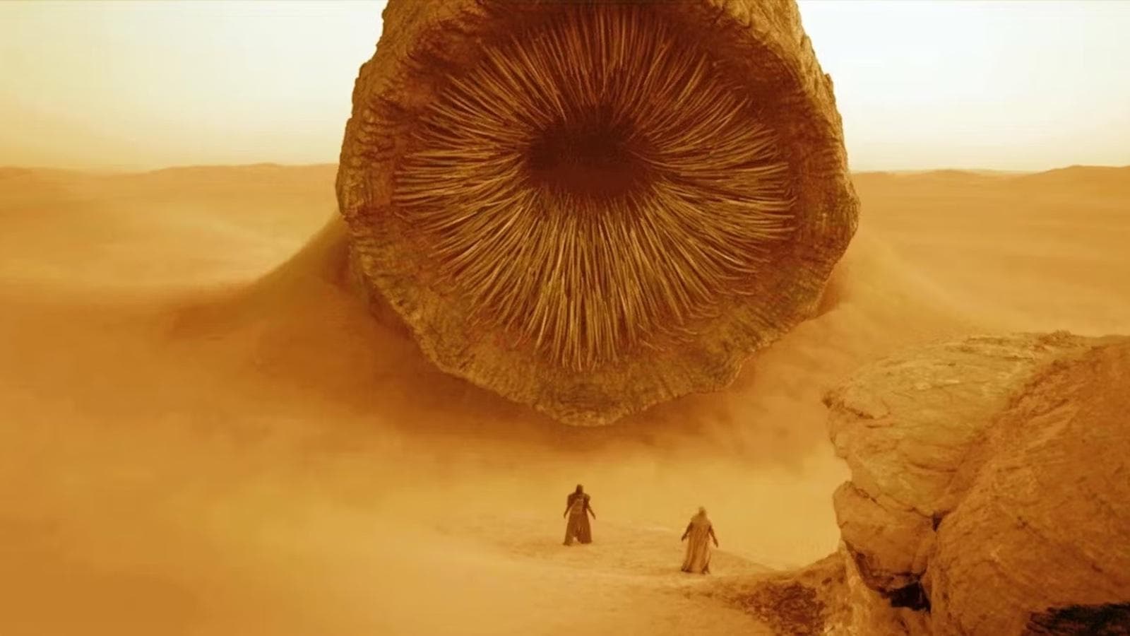 Dune